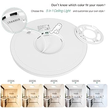 Brighte ELEKIBRUSH・ELEKILOTION Brightever LED Flush Mount Ceiling Light, 12 Inch 24W Ultra
